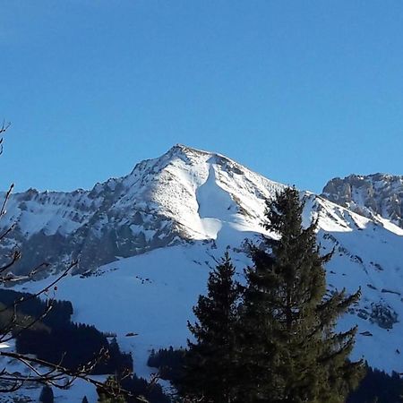 Chalet Allmegrat Adelboden Buitenkant foto