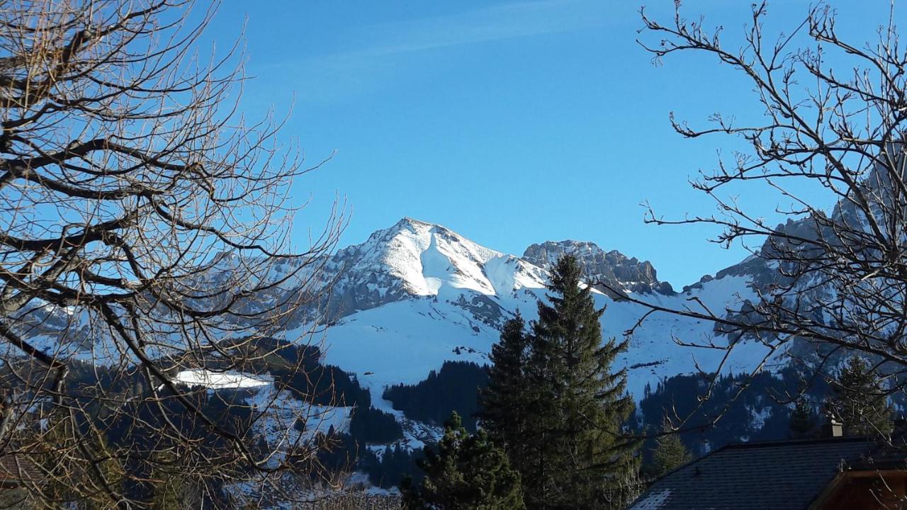 Chalet Allmegrat Adelboden Buitenkant foto