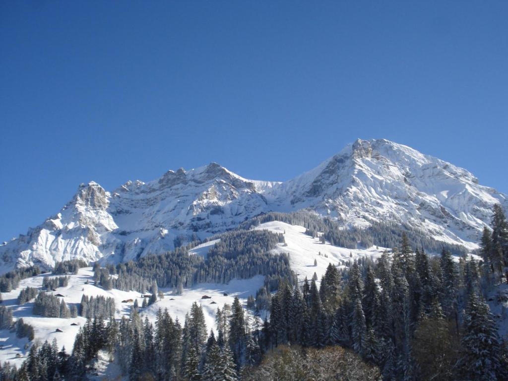 Chalet Allmegrat Adelboden Buitenkant foto