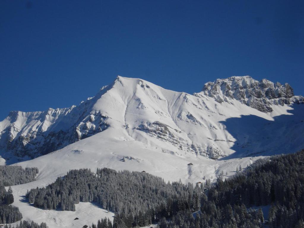 Chalet Allmegrat Adelboden Buitenkant foto