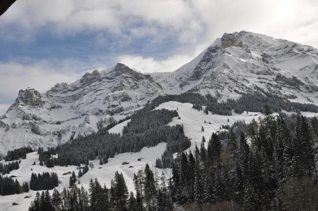 Chalet Allmegrat Adelboden Buitenkant foto