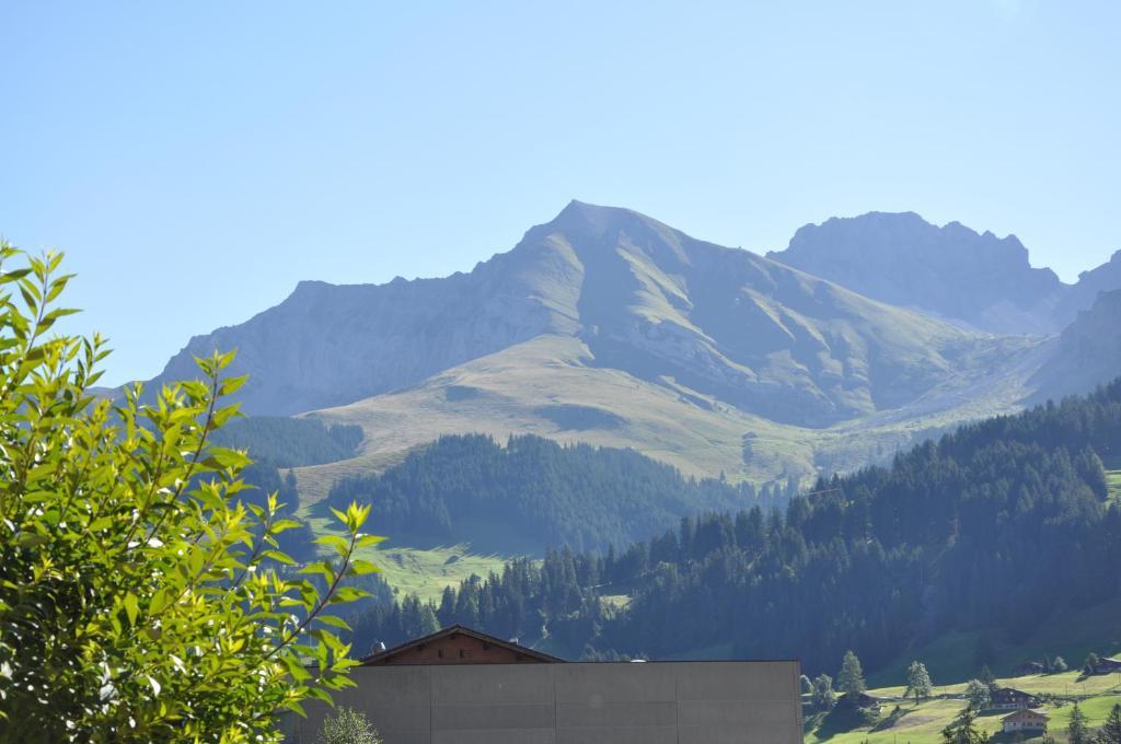 Chalet Allmegrat Adelboden Buitenkant foto