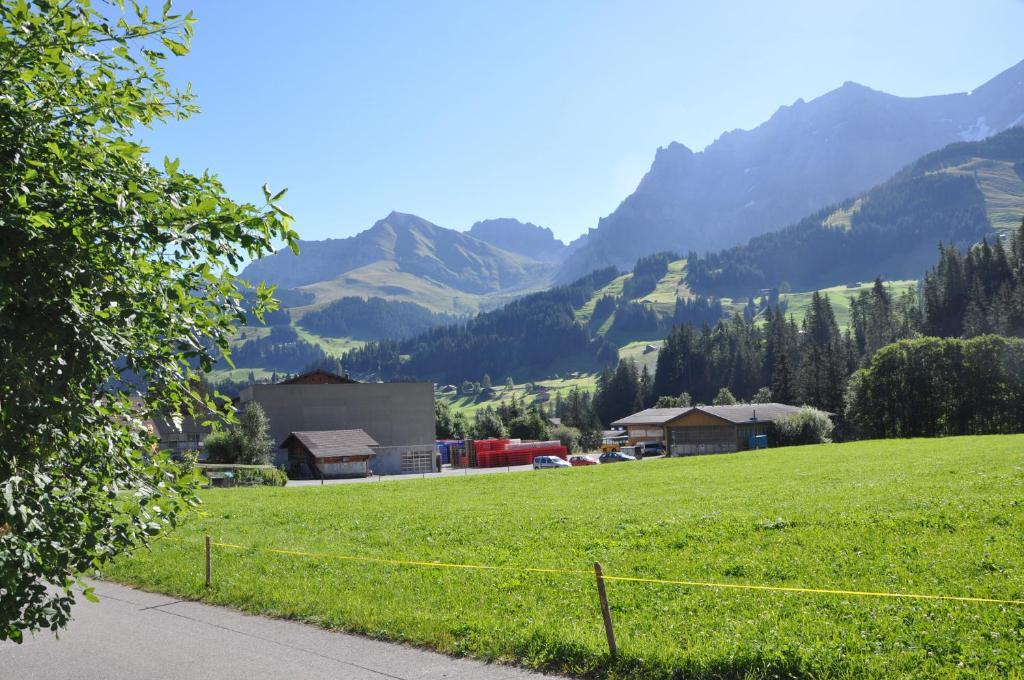 Chalet Allmegrat Adelboden Buitenkant foto